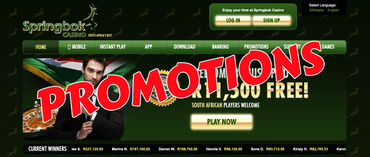 Springbok Casino Promotions